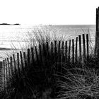 La clôture sur la plage