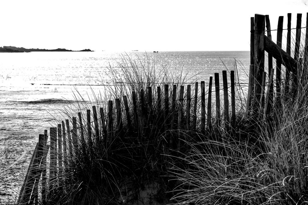 La clôture sur la plage