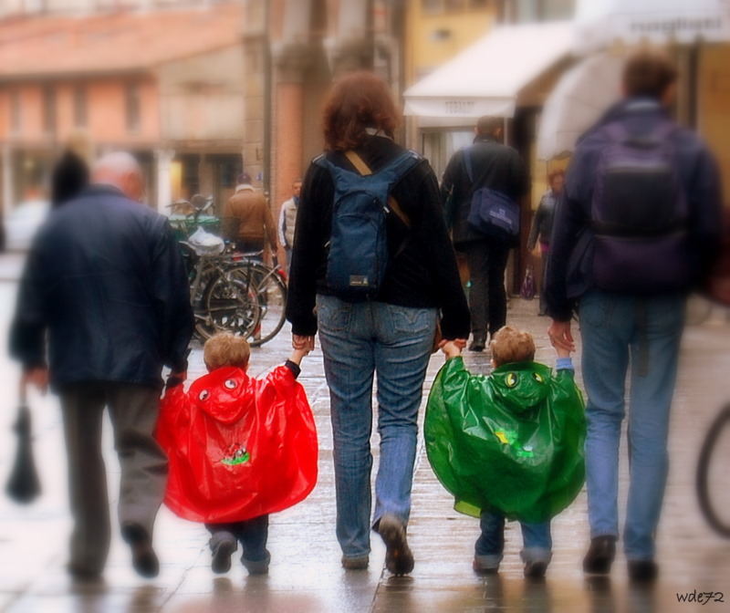 La coccinella e la ranocchia