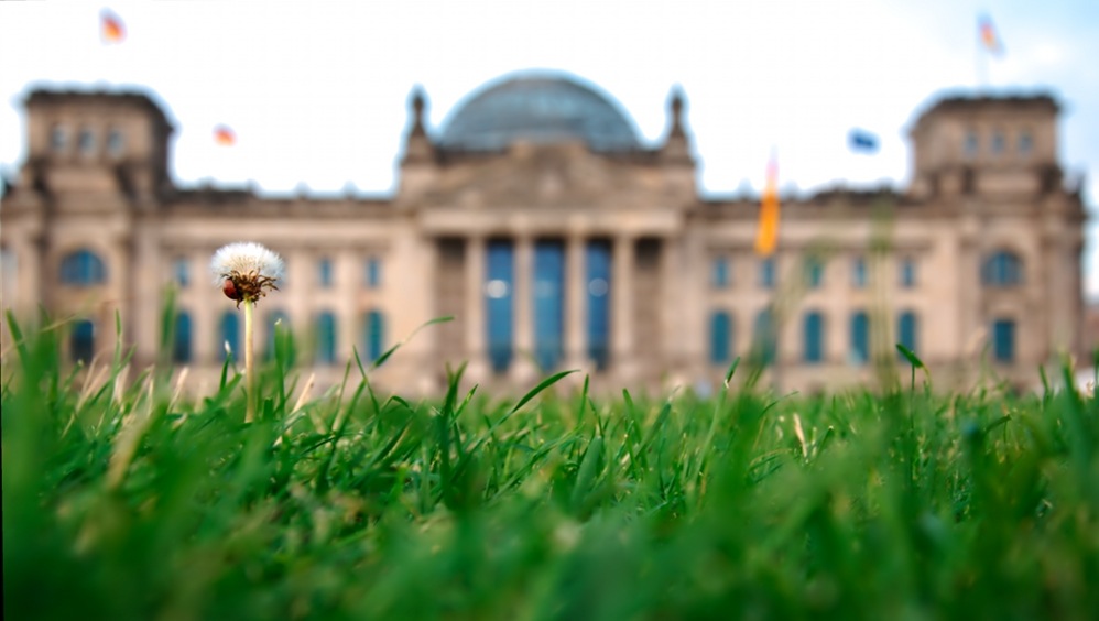 La coccinelle du Reichtag / Marienkäfer Reichstag