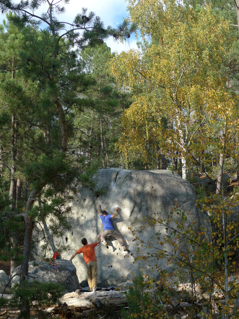 La coer de Fontainbleau