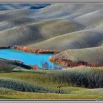 La collina dei gabbiani