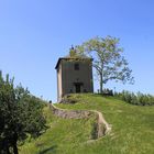 la collina di stabio - salita