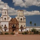 La colomba del deserto