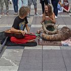 La competencia es dura (Palma)