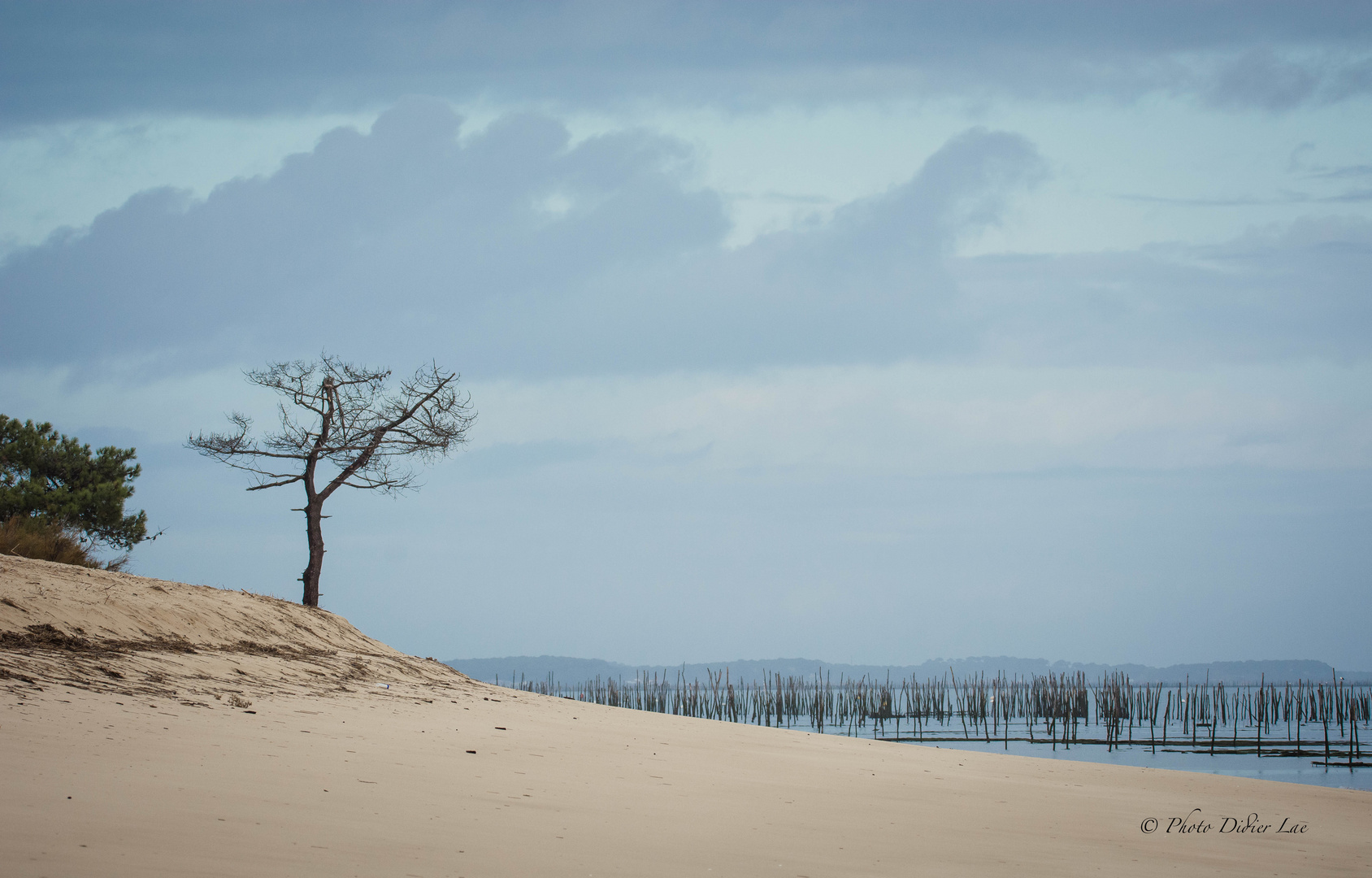 la conche de Minbeau (Cap Ferret)