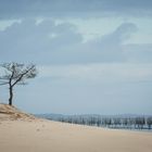 la conche de Minbeau (Cap Ferret)