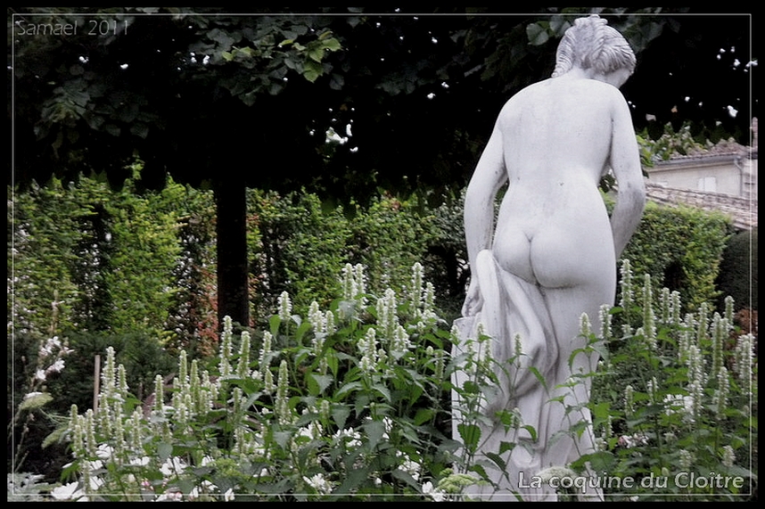 La coquine du cloître