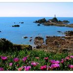 ~ La Corbière ~