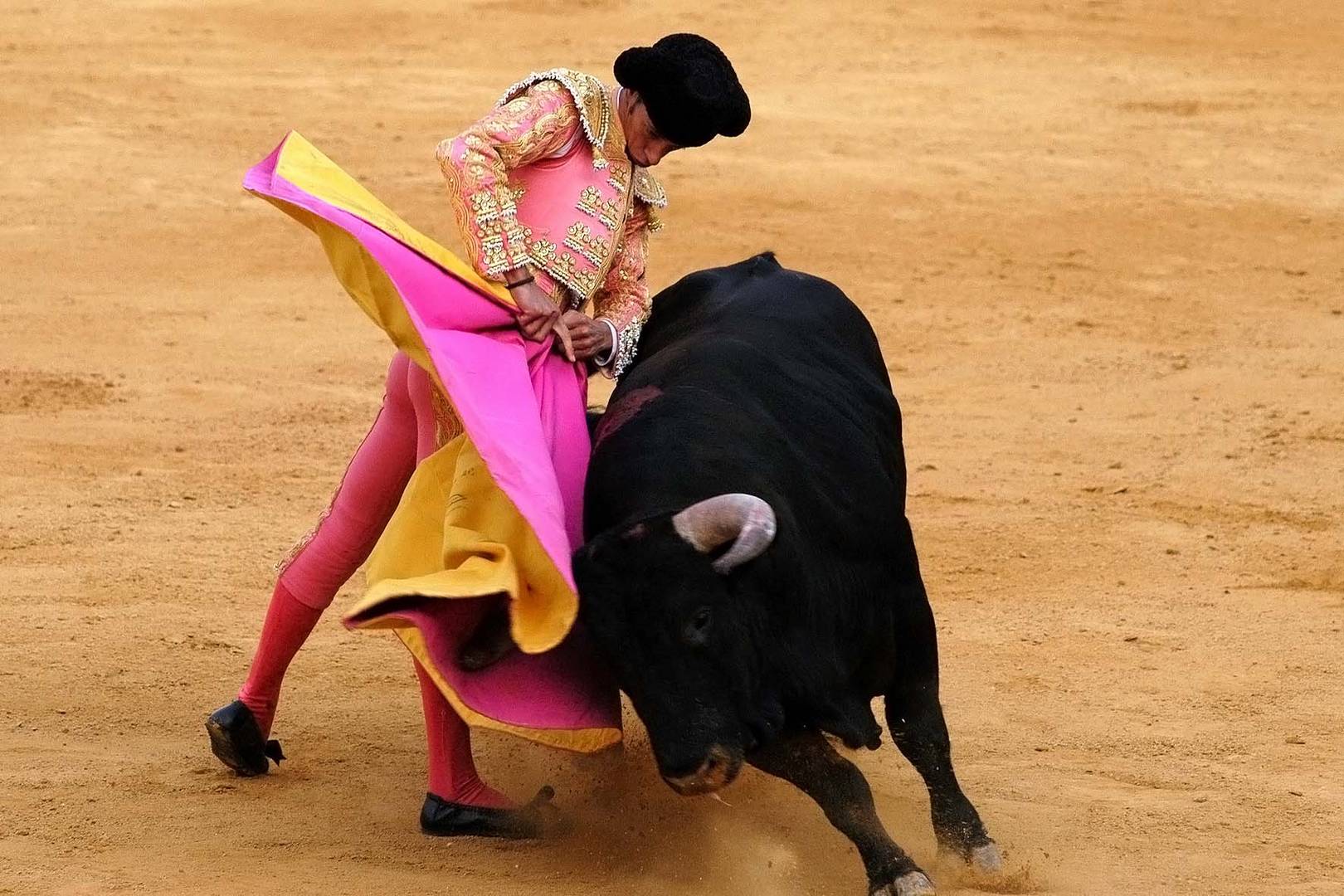 La corrida