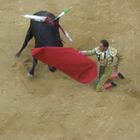 la corrida di almeria