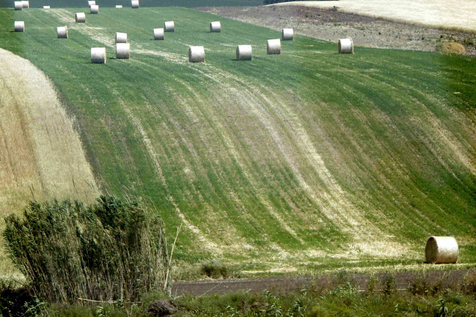 La corsa delle balle