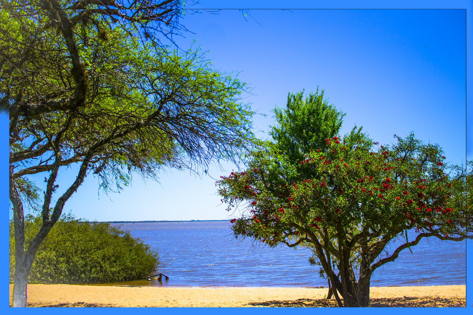 La costanera 1