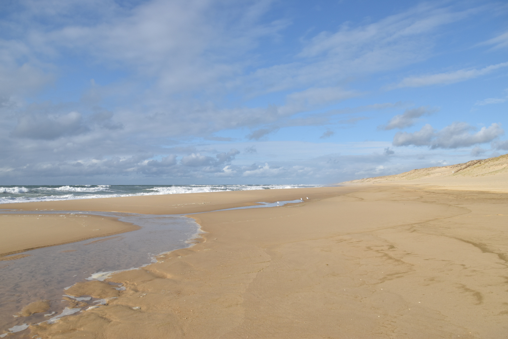 La côte d'argent à marée basse