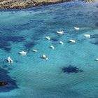 La côte de Plouguerneau vue du ciel