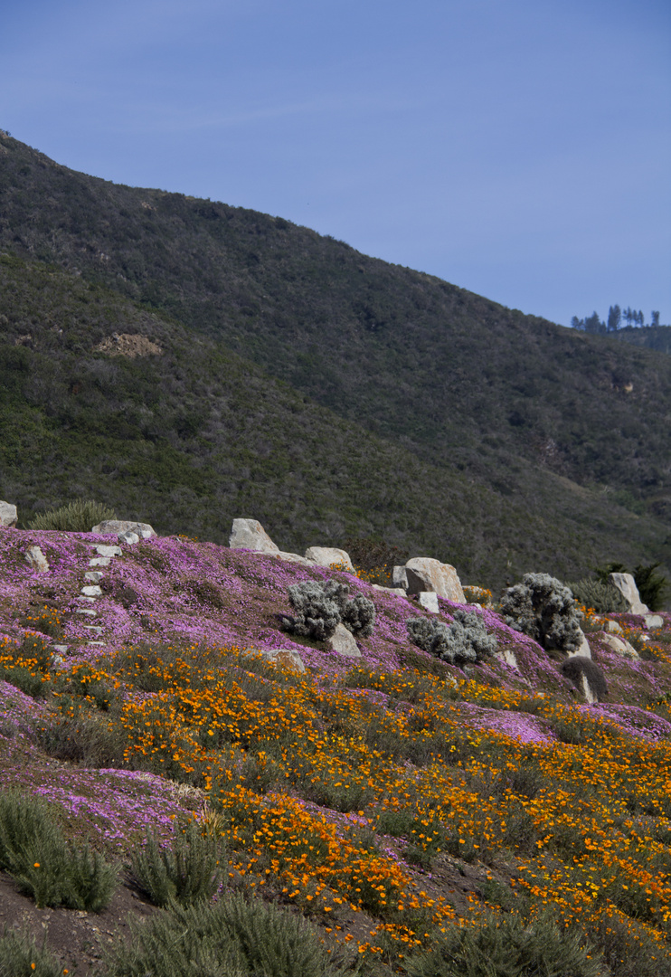 La Côte photo et image  north america, united states, california