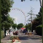 La Côte Sauvage 1 - La grande roue de la Place Brochard à Ronce-les-Bains