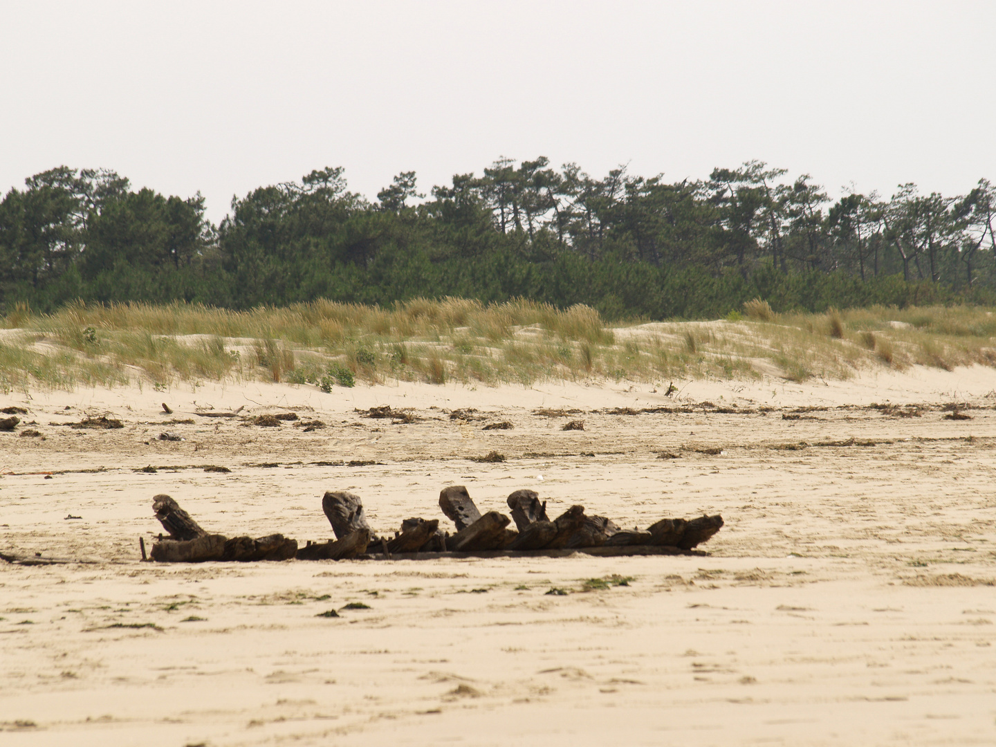 La Côte Sauvage 4 - Bateau d'aviron sur la plage...???