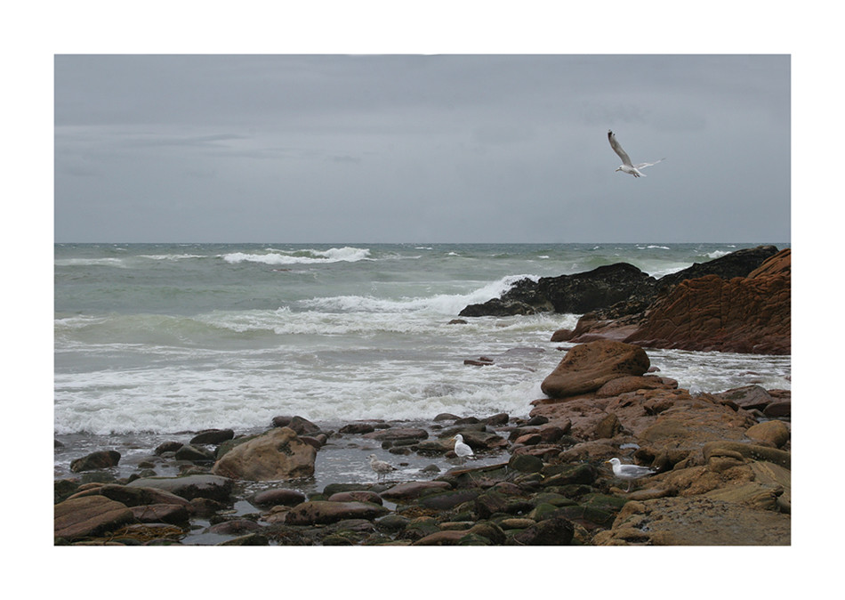 La cote sauvage