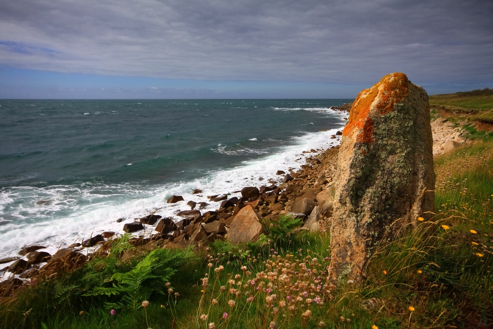 " La côte sauvage "