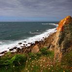 " La côte sauvage "