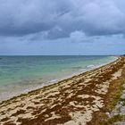 La côte sud-est « sous le vent » - Îlot Maître, Nouméa - Die windige südöstliche Küste