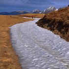 la coulée blanche