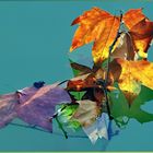 la couleur " feuille morte"