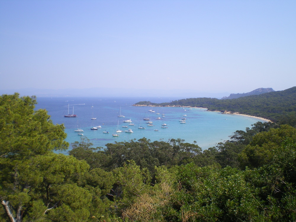 la Courtade, Porquerolles aout08