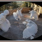 la crèche de castelnou