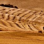 La Crete senesi