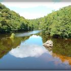 LA - CREUSE- près de Gargilesse . .