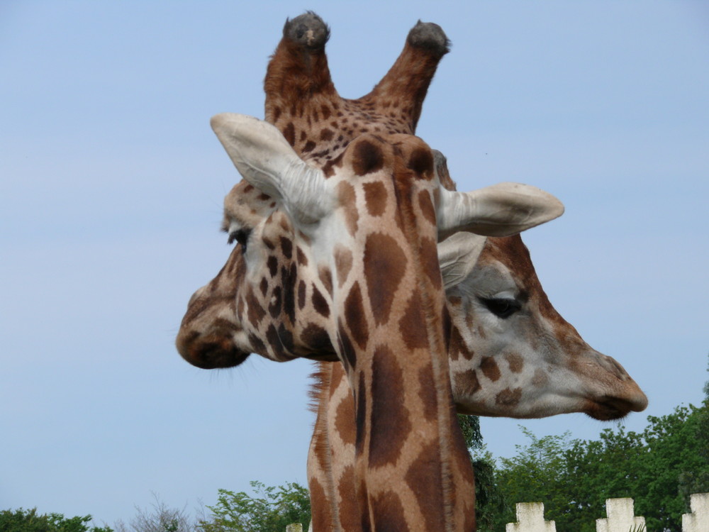 La croisée des girages.