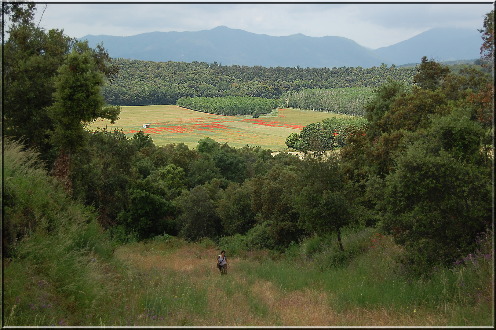 la crosa,ex-volcan catalan