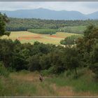 la crosa,ex-volcan catalan