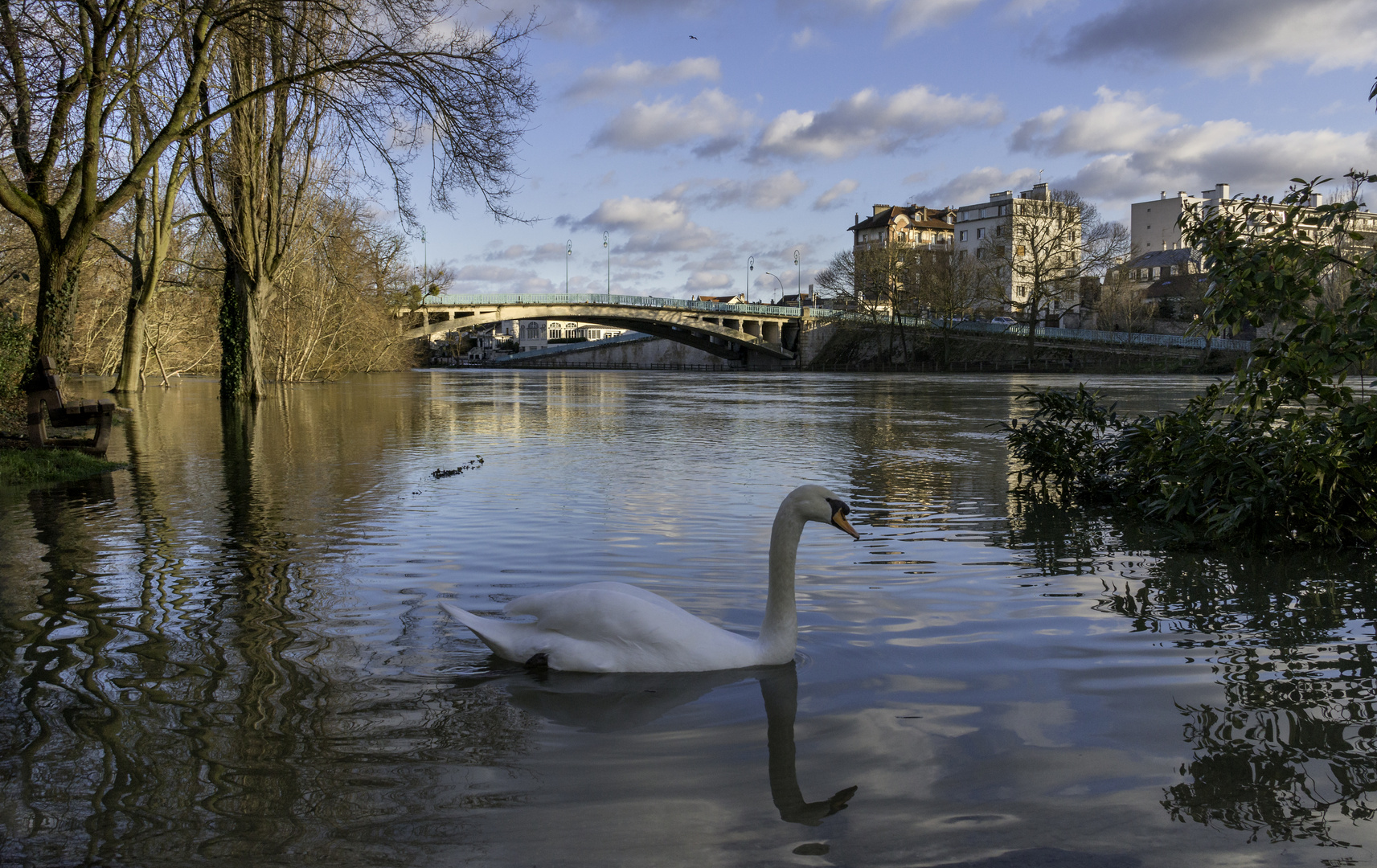 La crue de la Marne 