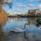 La crue de la Marne 