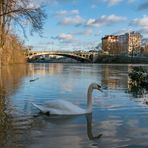 La crue de la Marne 