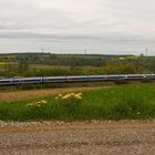 La cueillette de fleurs pendant la conduite est interdite