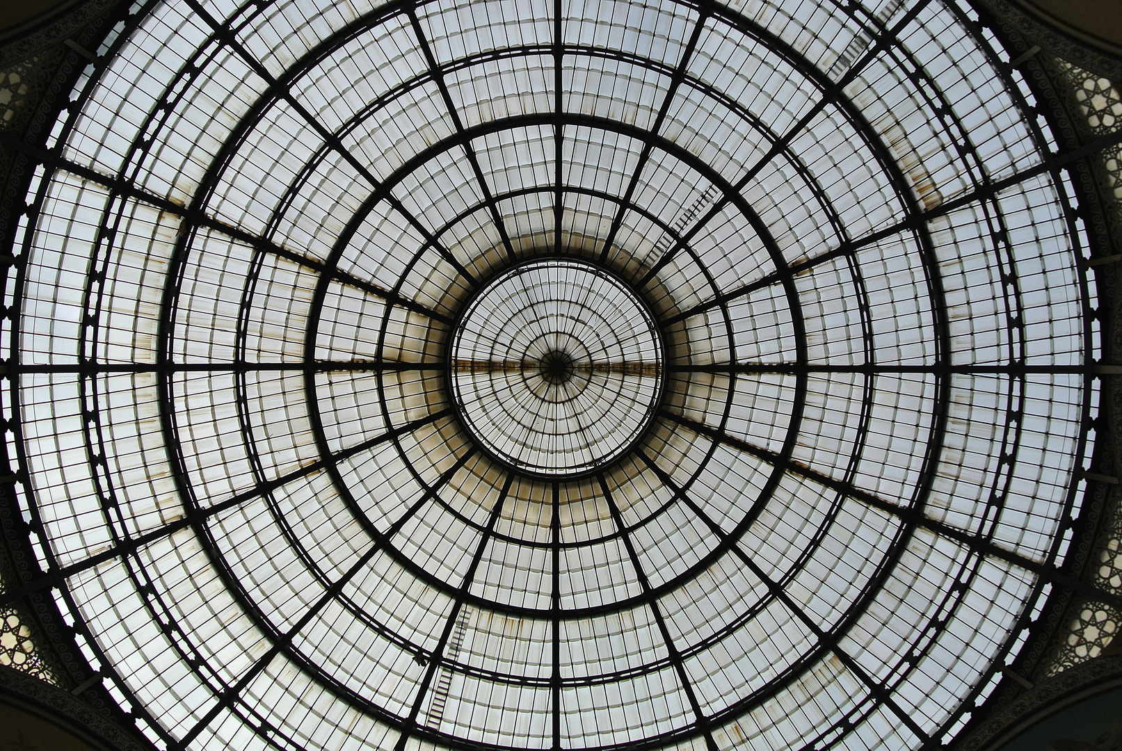 La cupola / Milano