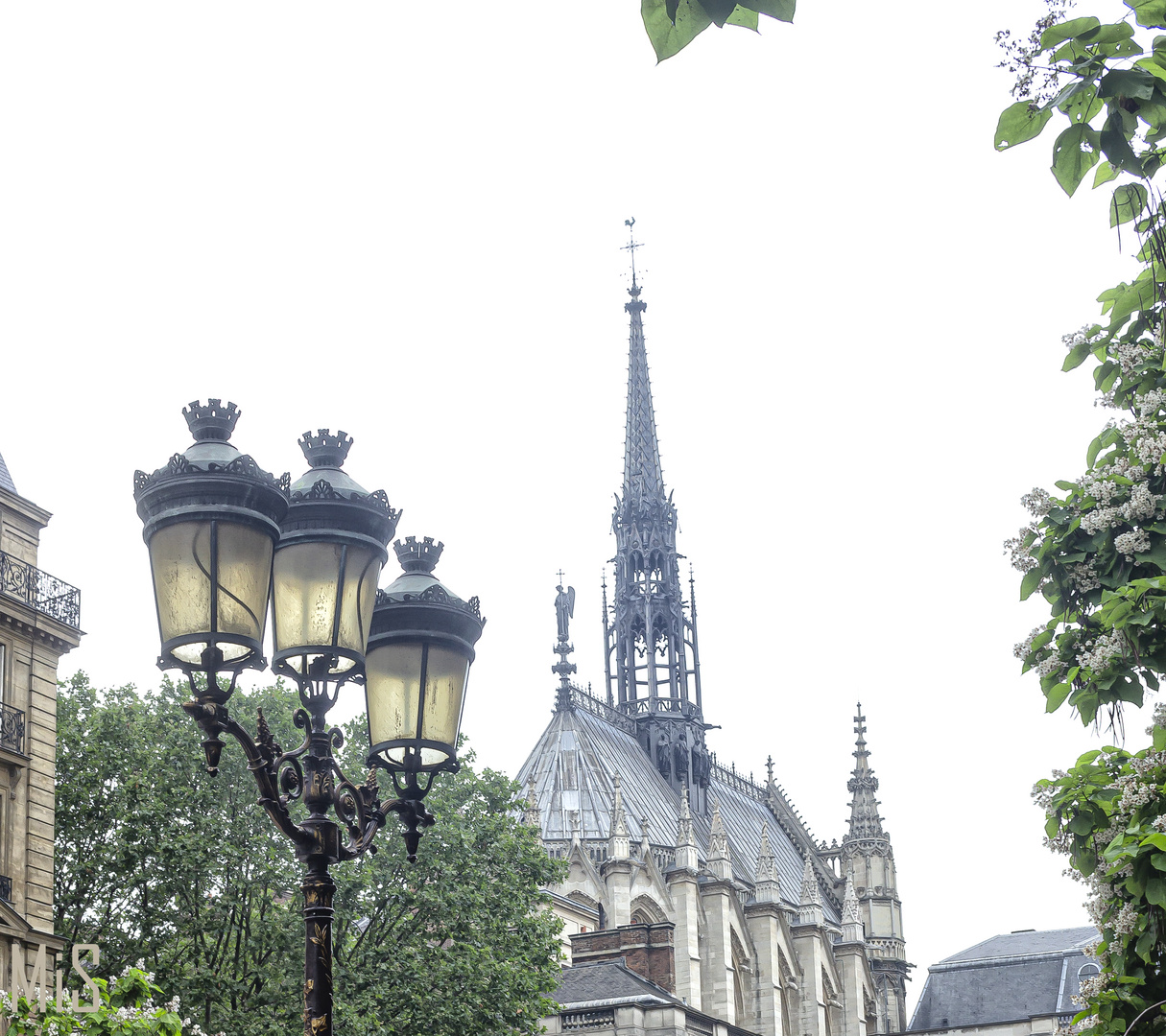 La  cúpula y la farola