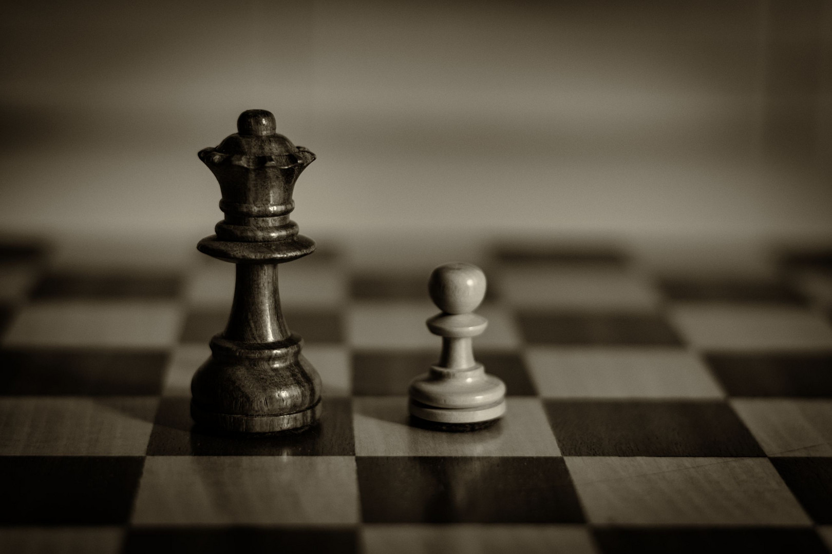 La dama y el vagabundo