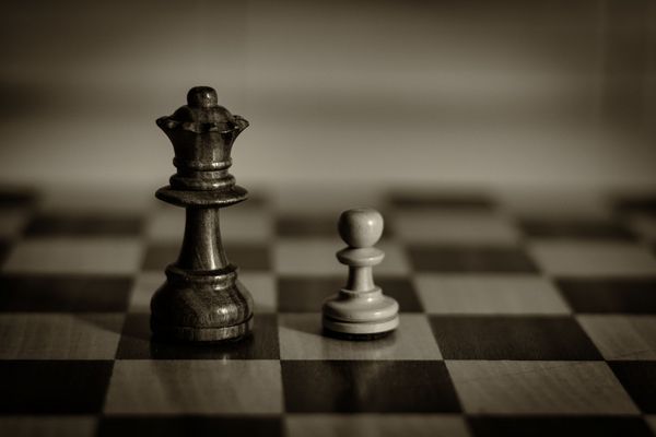 La dama y el vagabundo