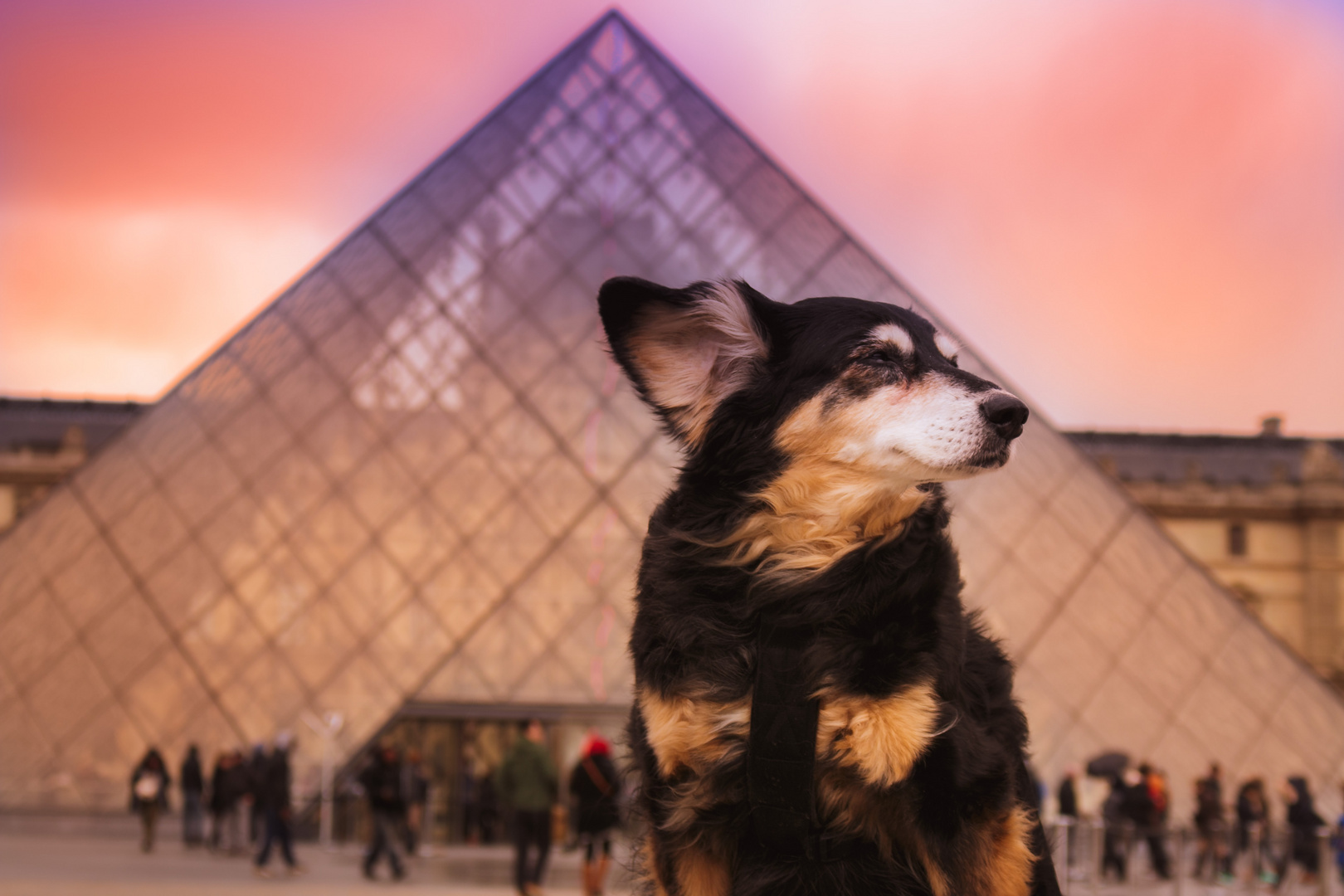 la dame à Louvre