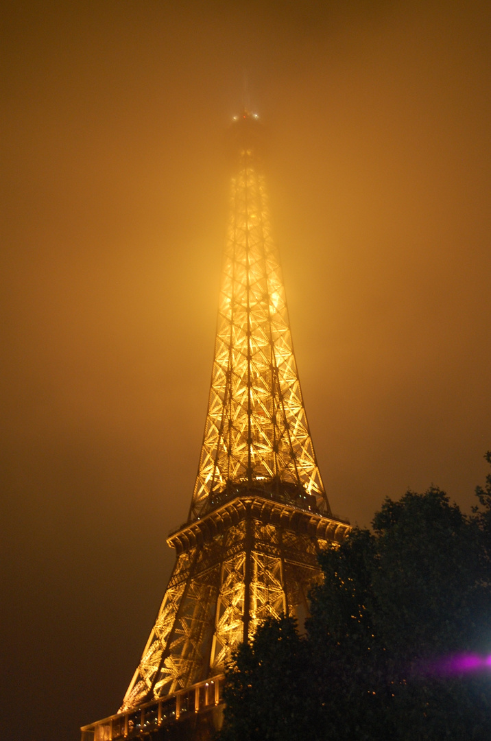 La dame couverte de brume