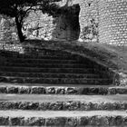 LA  DAME DANS L'ESCALIER