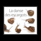 La dance des escargots