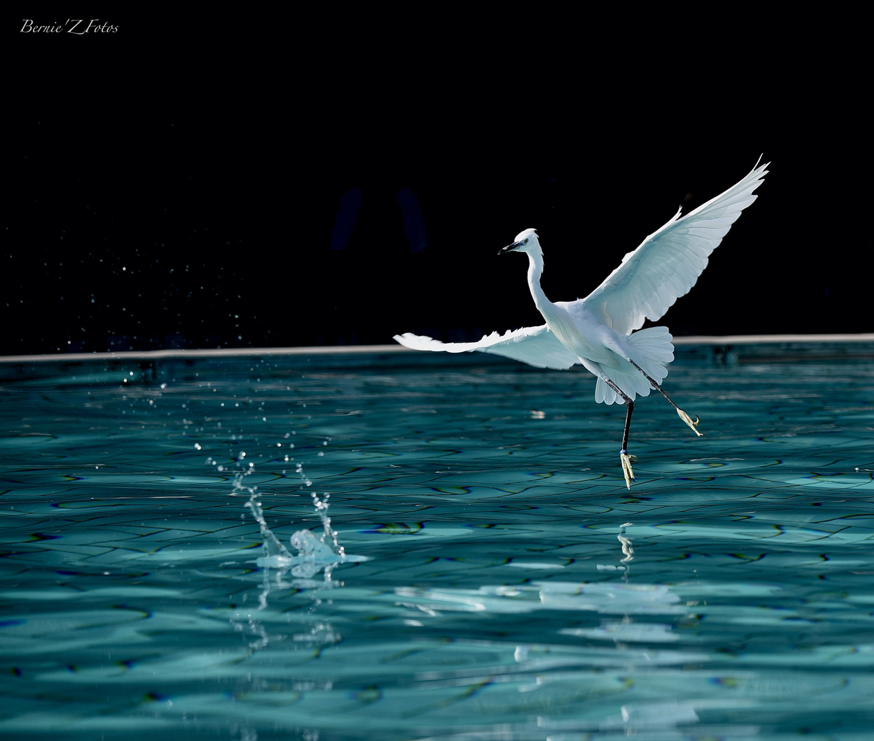 La dance sur l'eau