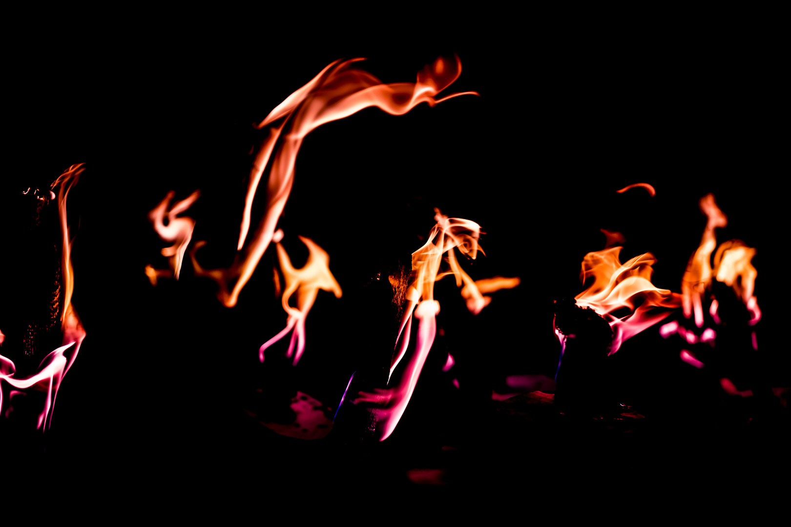 la danse des flambeaux