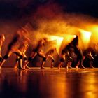 La danse du feu 4